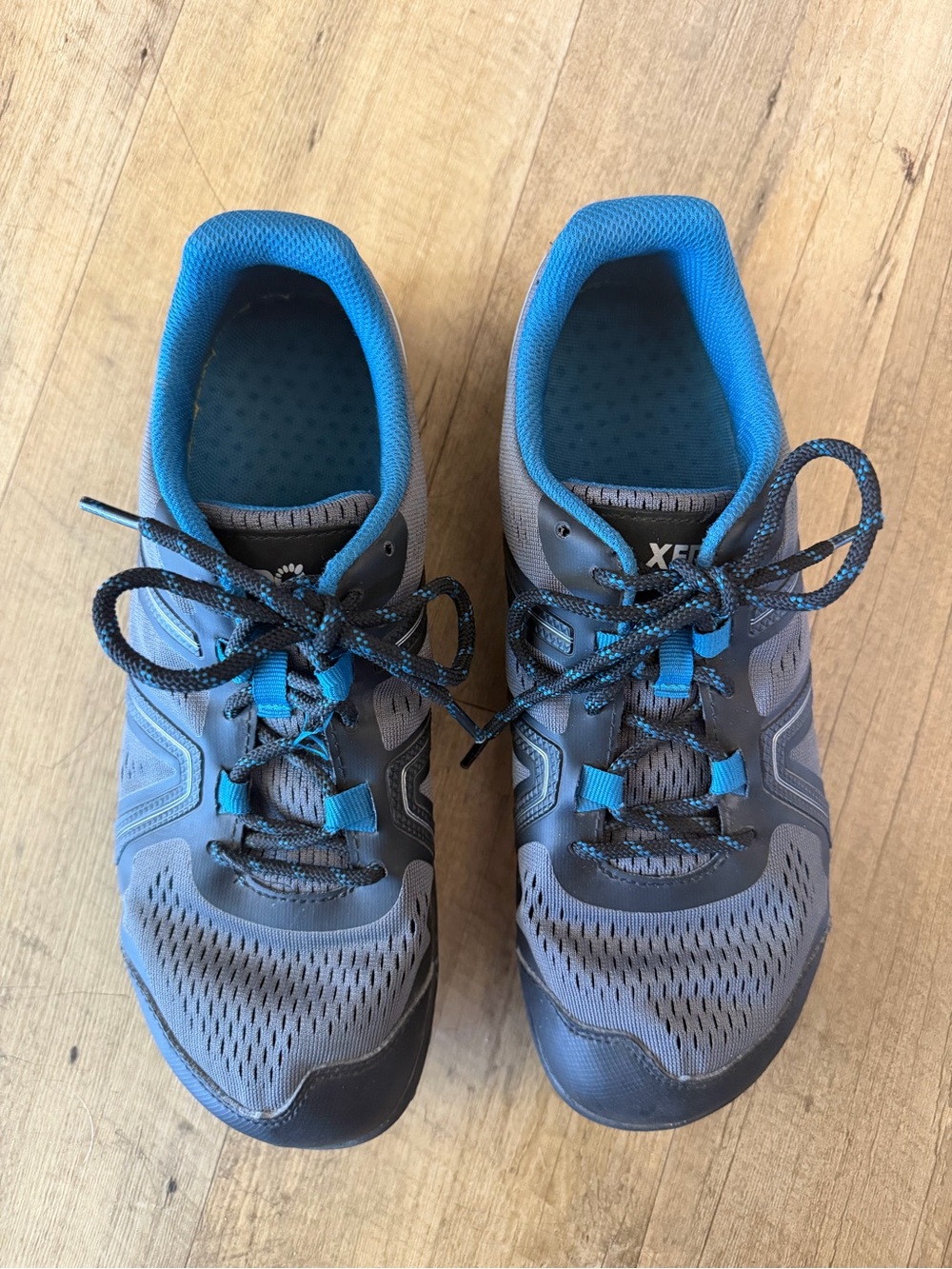 Xero Shoes Women’s Mesa Trail | Dark Gray Sapphire - Picture 2 of 9